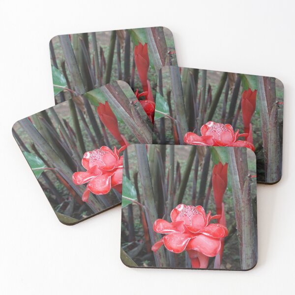 Item preview, Tropical Blooms designed and sold by John Gelletta.