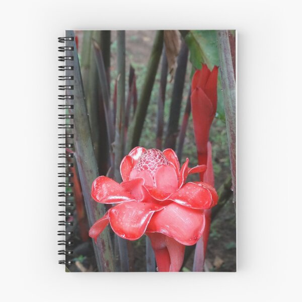 Item preview, Tropical Blooms designed and sold by John Gelletta.