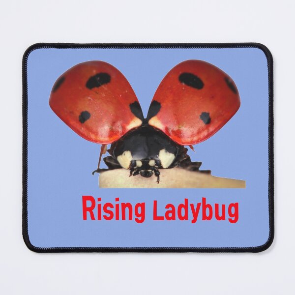 Item preview, Rising Ladybug designed and sold by mostheristore.