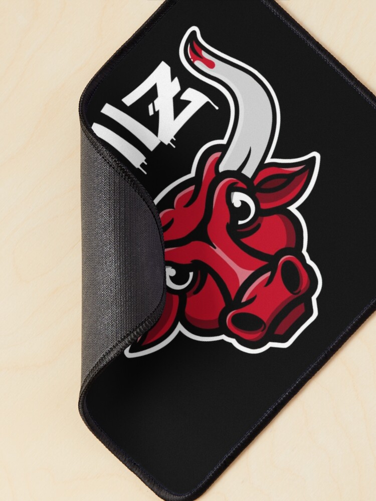 Chicago Bulls Championship Art Logo Mouse Pad Item#894