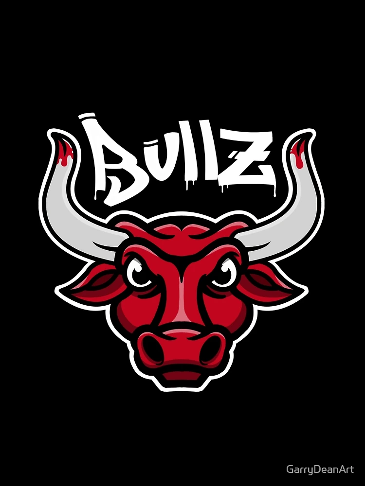 art du logo des Chicago Bulls