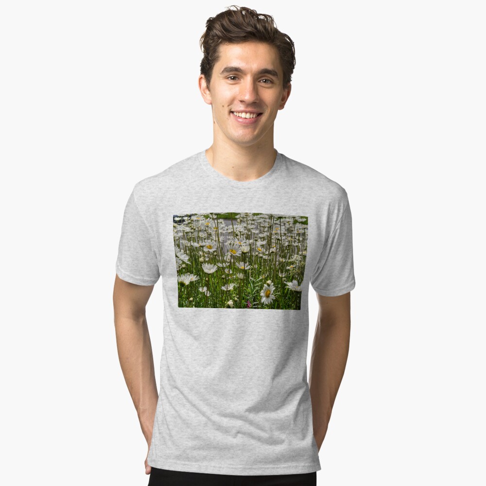 Item preview, Tri-blend T-Shirt designed and sold by Avalinart.