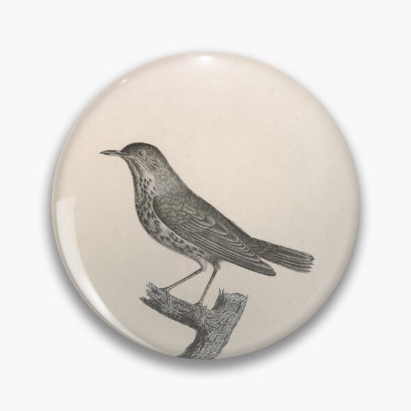 Item preview, The Tanned Thrush Natural history of vintage birds of North America designed and sold by ptMaker.