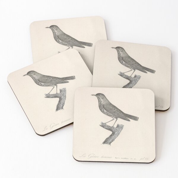 Item preview, The Tanned Thrush Natural history of vintage birds of North America designed and sold by ptMaker.