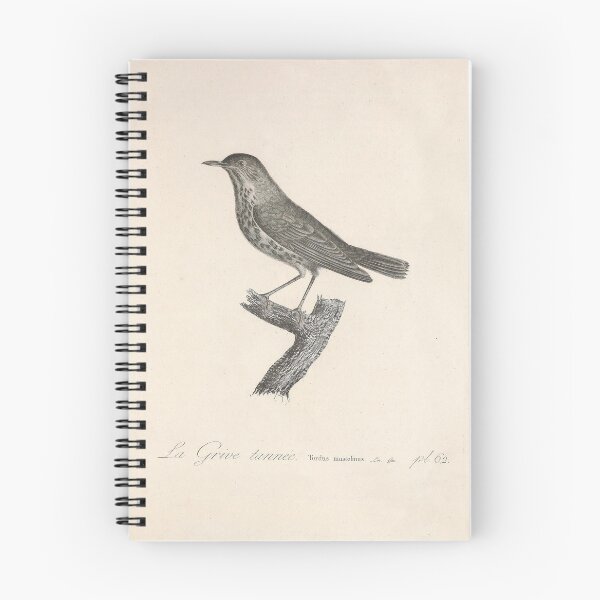 Item preview, The Tanned Thrush Natural history of vintage birds of North America designed and sold by ptMaker.