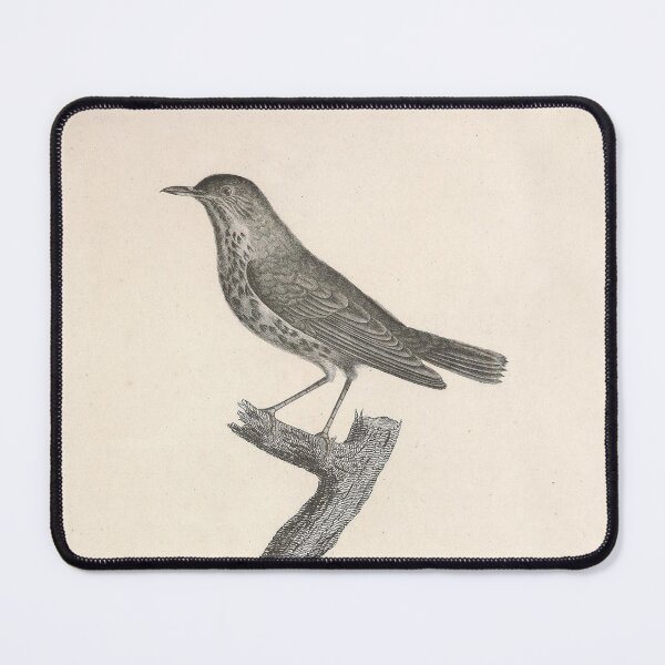 Item preview, The Tanned Thrush Natural history of vintage birds of North America designed and sold by ptMaker.