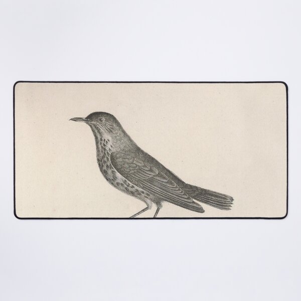 Item preview, The Tanned Thrush Natural history of vintage birds of North America designed and sold by ptMaker.