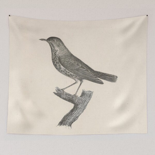 Item preview, The Tanned Thrush Natural history of vintage birds of North America designed and sold by ptMaker.