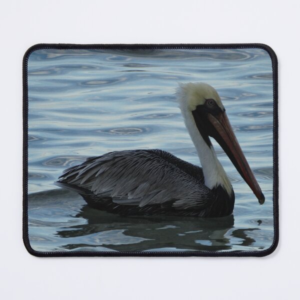 Item preview, Brown Pelican designed and sold by John Gelletta.