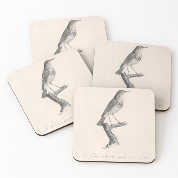 Item preview, The Hermit Thrush Natural history of vintage birds of North America designed and sold by ptMaker.