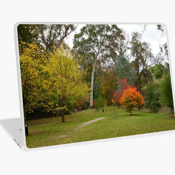 Item preview, Autumn at Buchan Caves Campground - Buchan Caves, Victoria, Australia designed and sold by Sean De Freitas.