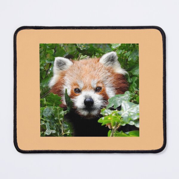 Item preview, An Adorable Red Panda designed and sold by Karen Thomson.