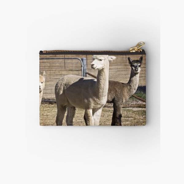Item preview, Alpaca at One Tree Hill Alpacas (9) designed and sold by Wolf Sverak Photography.