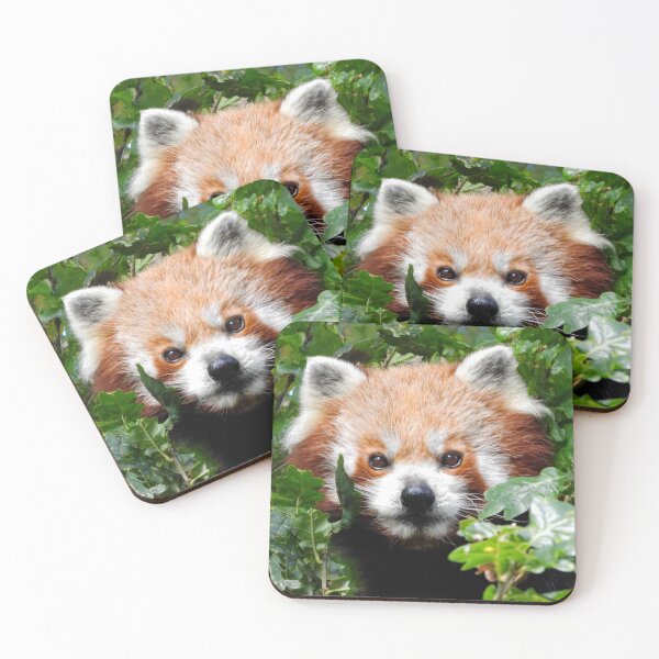 Item preview, An Adorable Red Panda designed and sold by Karen Thomson.