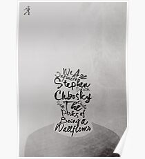 The Perks of Being a Wallflower Poster