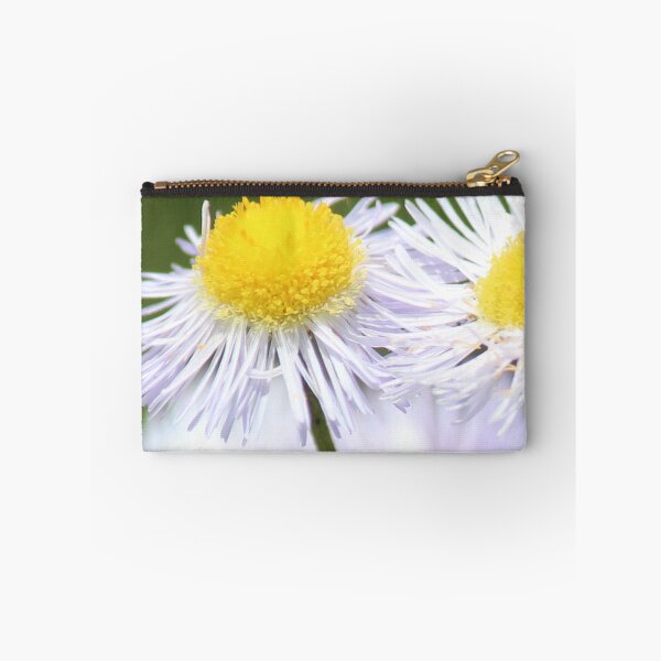 Item preview, Eastern Daisy Fleabane designed and sold by Bob Hardy.