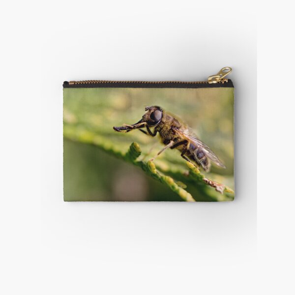 Item preview, European hoverfly (Eristalis pertinax) designed and sold by Bob Daalder Photography.