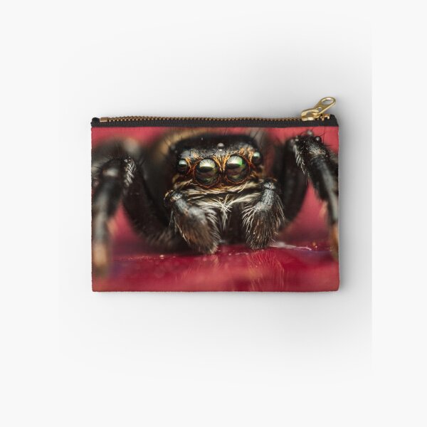 Item preview, Jumping spider drinks water designed and sold by Mario Cehulic.