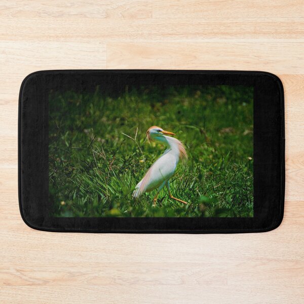 Item preview, If You've Got It, Flaunt It designed and sold by alabca.