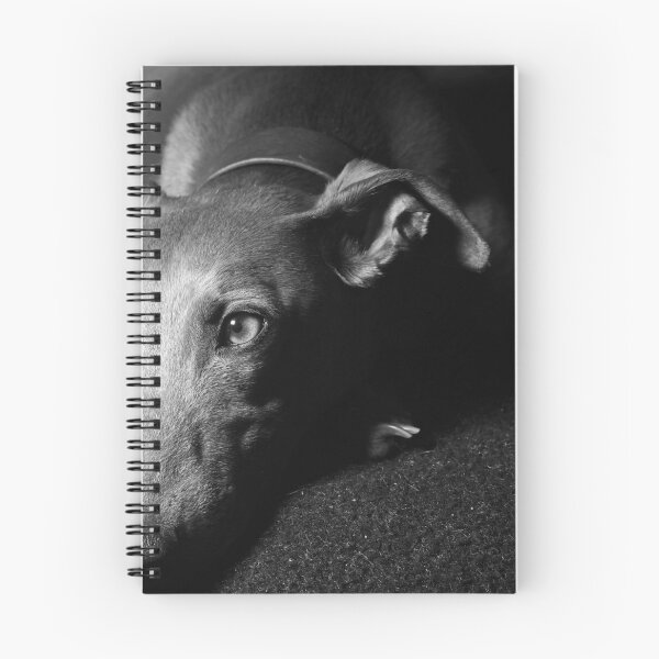 Item preview, Whippet Portrait (monochrome) designed and sold by AdvancedPhotons.