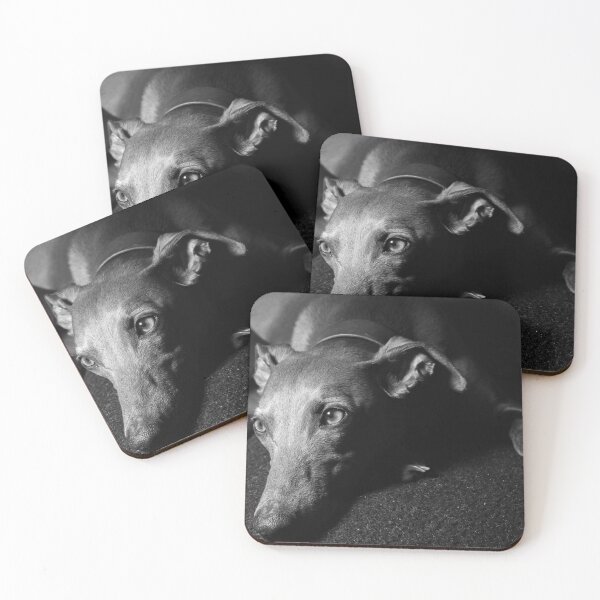 Item preview, Whippet Portrait (monochrome) designed and sold by AdvancedPhotons.
