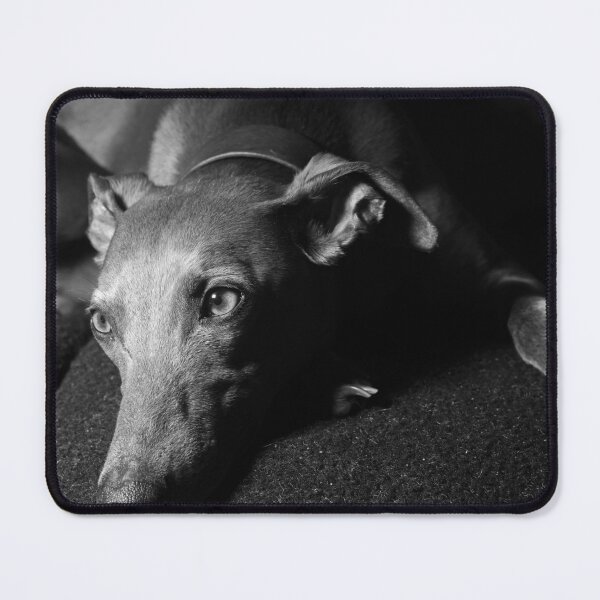 Item preview, Whippet Portrait (monochrome) designed and sold by AdvancedPhotons.