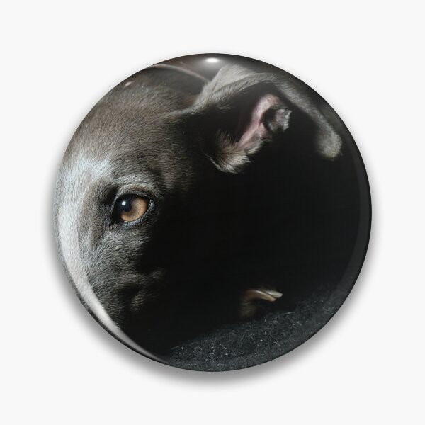 Item preview, Whippet Portrait designed and sold by AdvancedPhotons.
