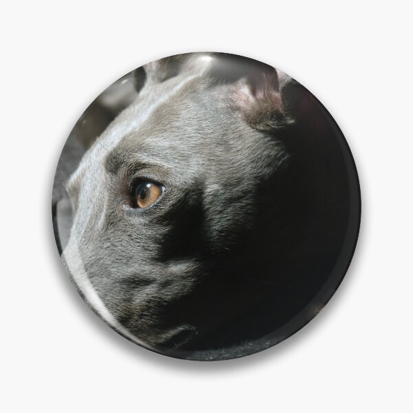 Item preview, Whippet Portrait - Profile  designed and sold by AdvancedPhotons.