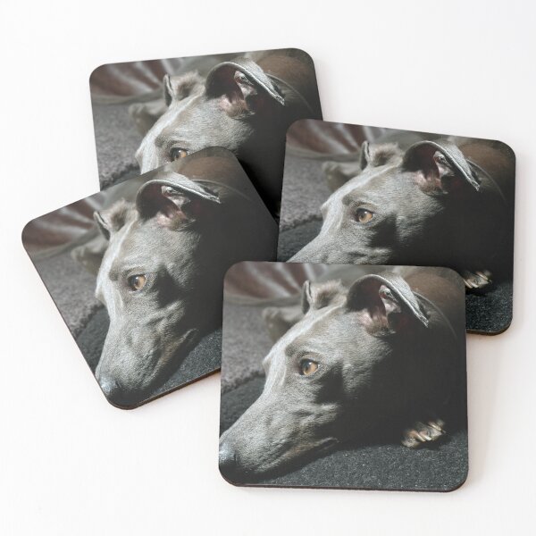 Item preview, Whippet Portrait - Profile  designed and sold by AdvancedPhotons.