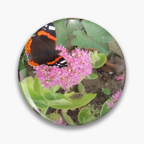 Item preview, Red Admiral and Ice Plant designed and sold by wiggyofipswich.