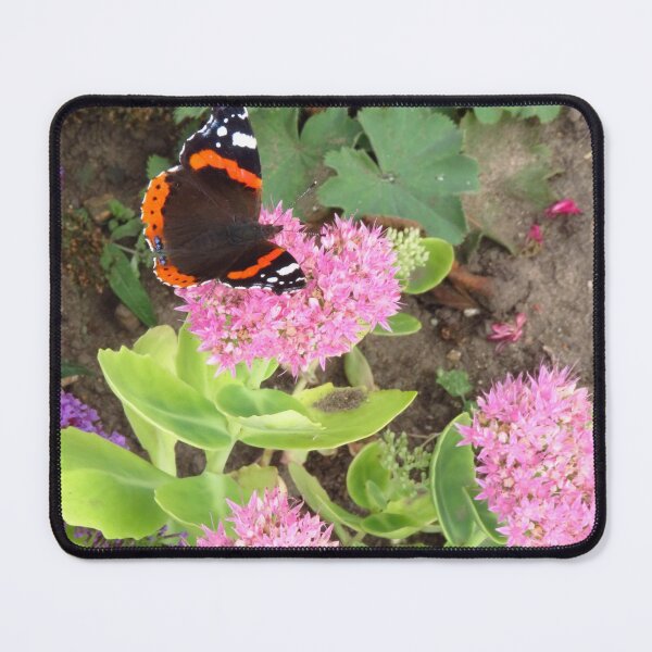Item preview, Red Admiral and Ice Plant designed and sold by wiggyofipswich.