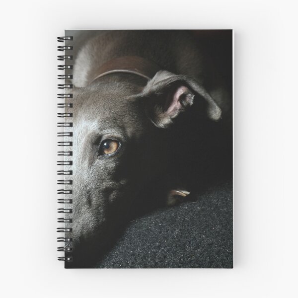 Item preview, Whippet Portrait designed and sold by AdvancedPhotons.