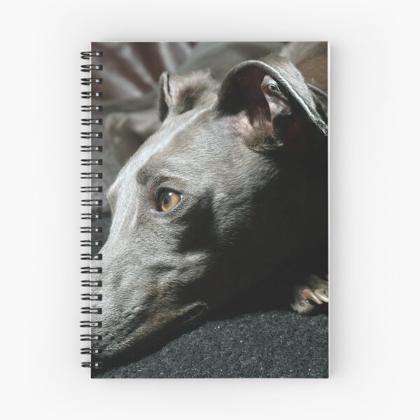 Item preview, Whippet Portrait - Profile  designed and sold by AdvancedPhotons.