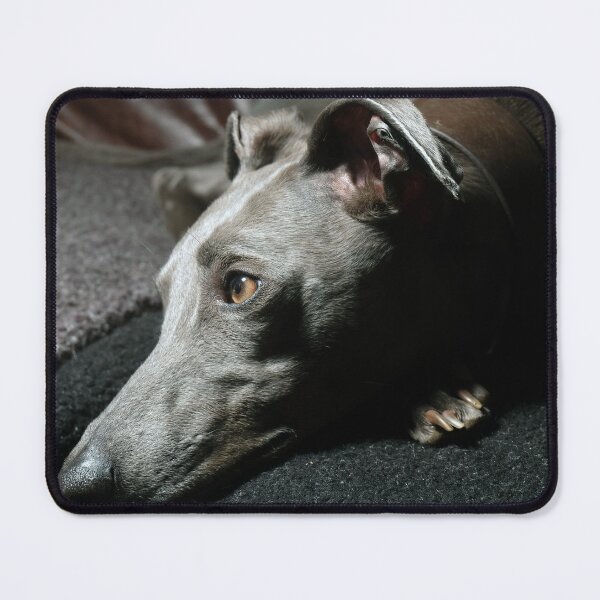 Item preview, Whippet Portrait - Profile  designed and sold by AdvancedPhotons.