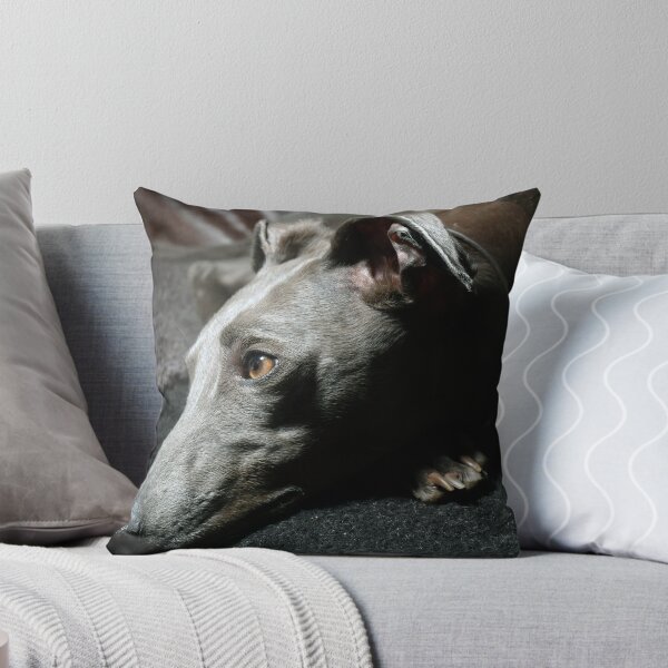 Item preview, Whippet Portrait - Profile  designed and sold by AdvancedPhotons.