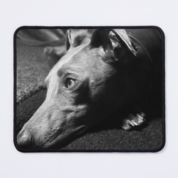 Item preview, Whippet Portrait - Profile (monochrome) designed and sold by AdvancedPhotons.