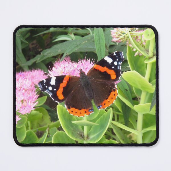 Item preview, Red Admiral ( Vanessa Atalanta ) designed and sold by wiggyofipswich.