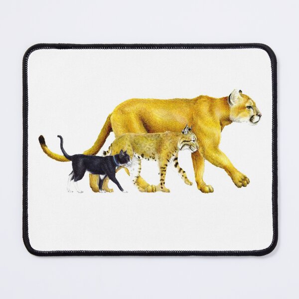 Item preview, Cat Family, Cats | Biology designed and sold by Thermopolium.