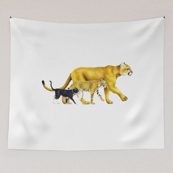 Item preview, Cat Family, Cats | Biology designed and sold by Thermopolium.