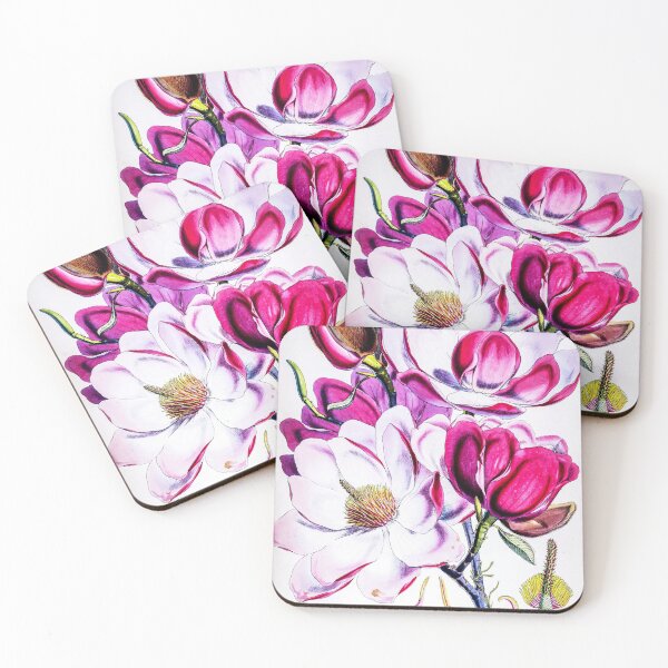 Item preview, Magnolia campbellii, or Campbell's magnolia illustration. designed and sold by LegendaryOddity.