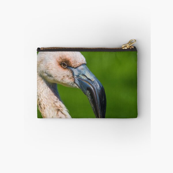 Item preview, Flamingo Chick designed and sold by Roger Hall.