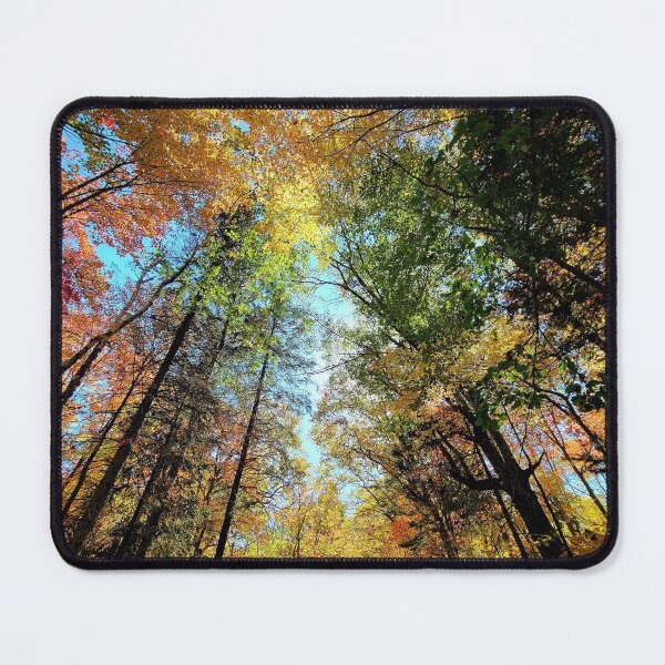 Item preview, Itasca State Park on September 27, 2021 designed and sold by Debbie Center.