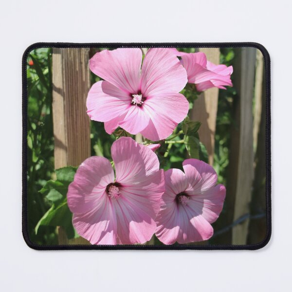 Item preview, Nature, Garten, Park, Blumen, pink, Fotografie, BebiCervin designed and sold by BebiCervin.