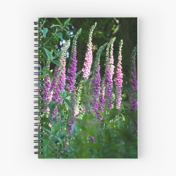 Item preview, Foxgloves in the early morning sun designed and sold by SPPDesign.