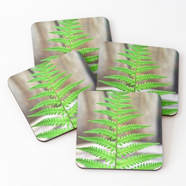 Item preview, Common Lady Fern (Athyrium Filix-Femina) designed and sold by AdvancedPhotons.