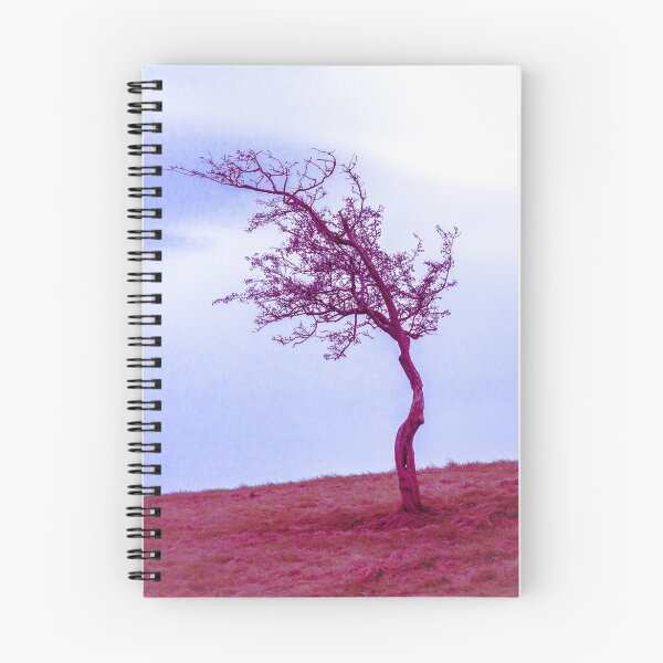 Item preview, Scraggly Phoenix Park Tree designed and sold by PersiPrints.