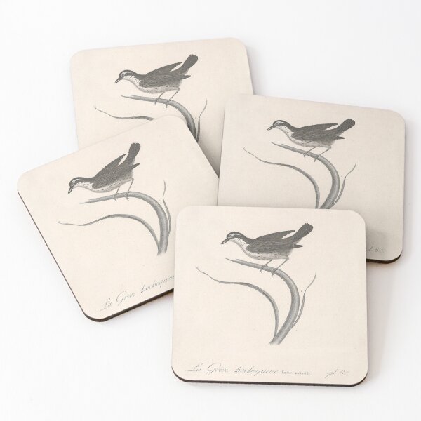 Item preview, The Bocheguen Thrush Natural history of vintage birds of North America designed and sold by ptMaker.
