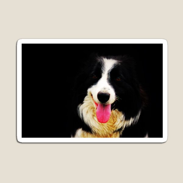 Artikelvorschau, Teddy auf Schwarz entworfen und verkauft von thegreendogs.