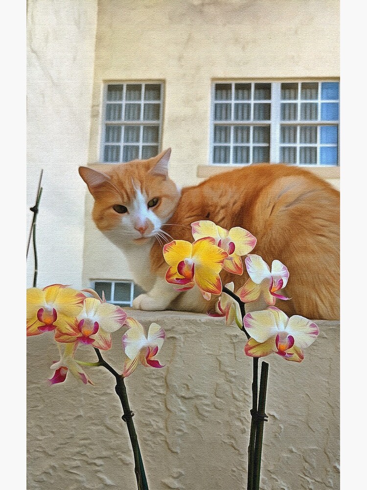 Cat Behind the Flowers by photorolandi