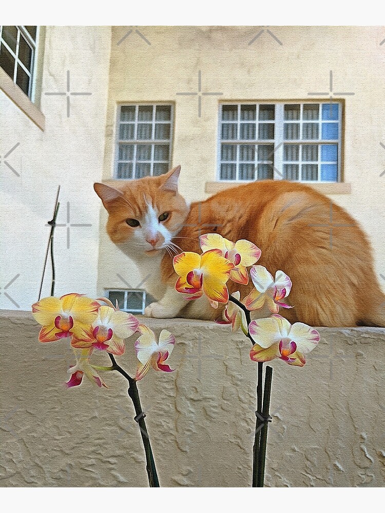 Cat Behind the Flowers by photorolandi